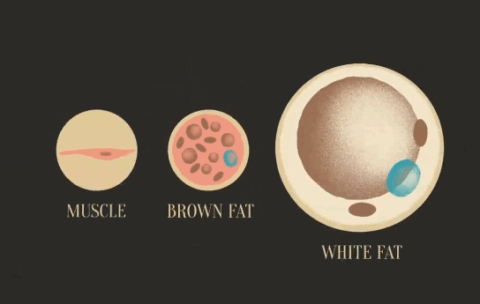 Screenshot 2025-10-30 094501