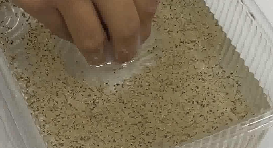 Screenshot 2025-11-15 102420